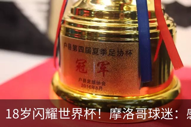 18岁闪耀世界杯！摩洛哥球迷：感谢德尚没招布阿迪，把他留给我们